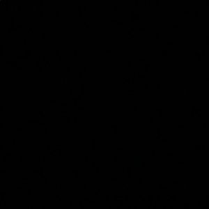 Meet your Posher, Felix